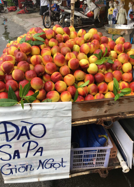 Trong khi đó, chia sẻ với báo Phụ Nữ Tp HCM, đại diện chợ đầu mối nông sản Thủ Đức cho biết, hiện tại đang vào vụ đào Trung Quốc, trong tháng 6 đào đổ về chợ sỉ rất nhiều. Ảnh: Internet.