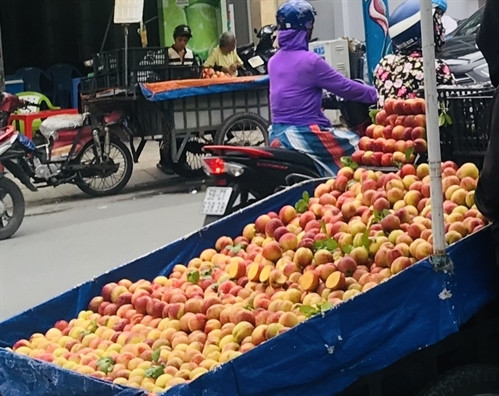 Đào được người bán ghi biển, quảng cáo là đào Sapa với giá 30.000-50.000 đồng/kg. Ảnh: Phụ Nữ TP.HCM.