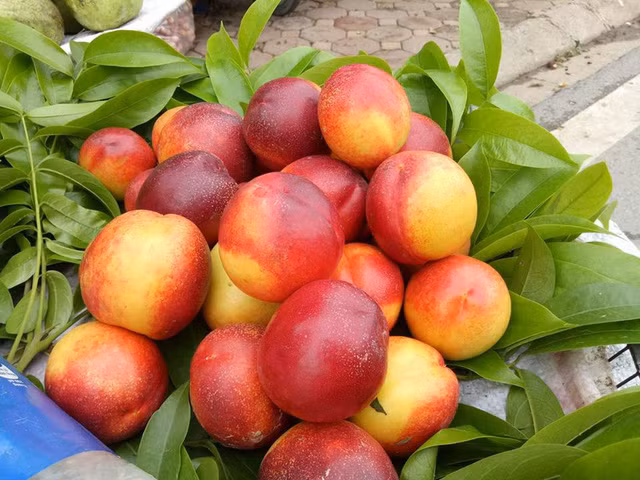 Trung bình mỗi ngày anh Hưng bán được 20-30kg đào. Ảnh: Internet.