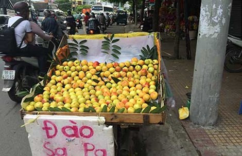 Anh Hưng (một người bán dong trên đường Nghiêm Xuân Yêm, Hà Nội) cho biết, hiện đang vào chính vụ nên đào Sapa bán được nhiều. Ảnh: Baovephapluat.