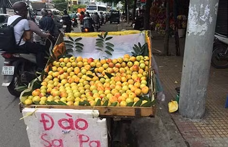 Anh Hưng (một người bán dong trên đường Nghiêm Xuân Yêm, Hà Nội) cho biết, hiện đang vào chính vụ nên đào Sapa bán được nhiều. Ảnh: Baovephapluat.