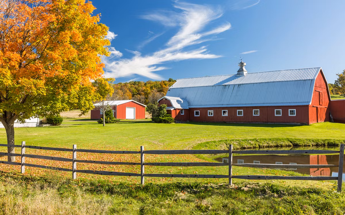 Theo CNN, khoảng 10% hộ nông dân top đầu tại Mỹ thực sự kiếm được nhiều tiền hơn cả bác sĩ. Nông trại càng lớn, thu nhập càng nhiều.