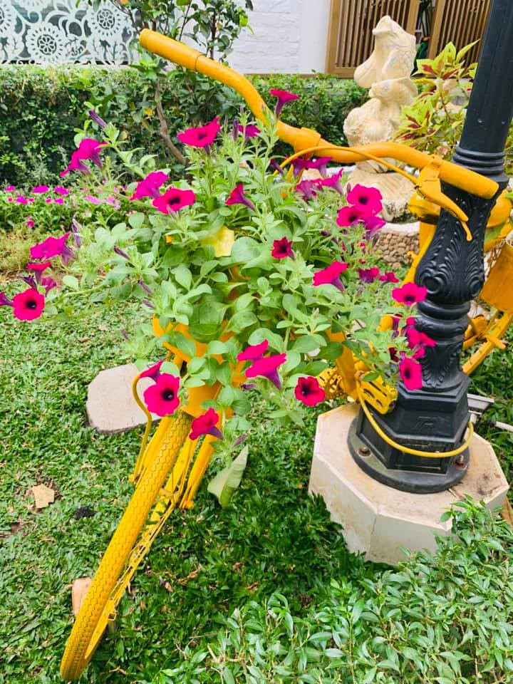 Những lúc rảnh rỗi, Vy Oanh thường ra vườn tranh thủ tưới cây, cắt tỉa lá.