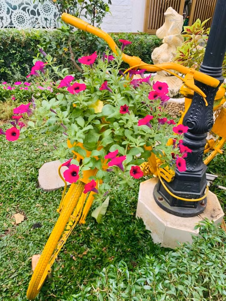 Những lúc rảnh rỗi, Vy Oanh thường ra vườn tranh thủ tưới cây, cắt tỉa lá.