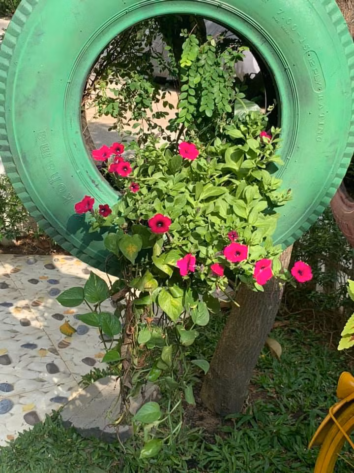 Một góc vườn khác trong biệt thự của Vy Oanh, tràn ngập sắc màu của những bụi hoa đỏ, cam, vàng, tím.