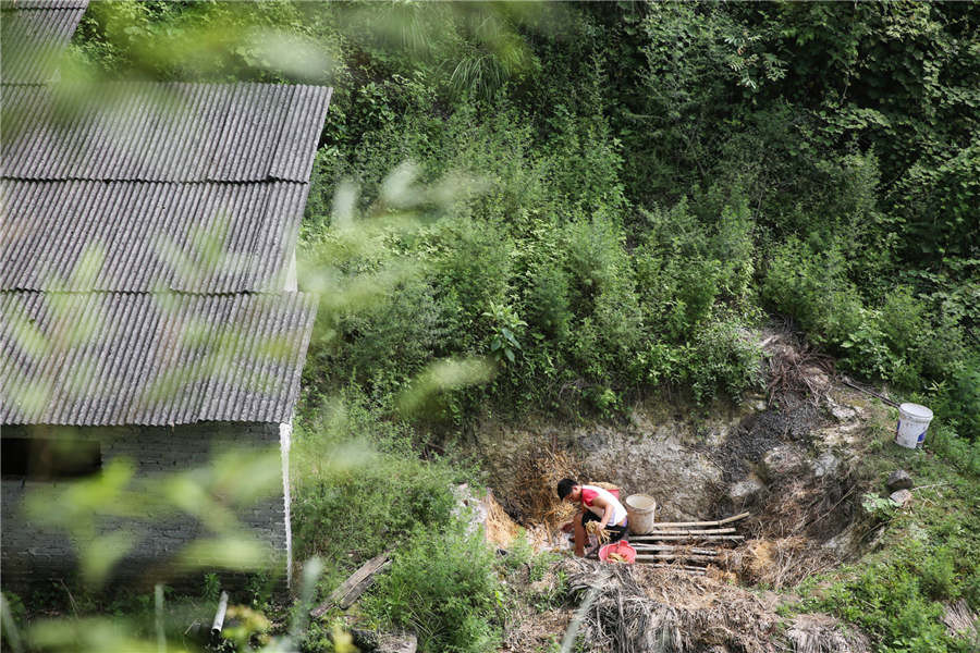 Sau đó, những bó tre được ngâm trong hố nước vôi để đẩy nhanh quá trình phân hủy.