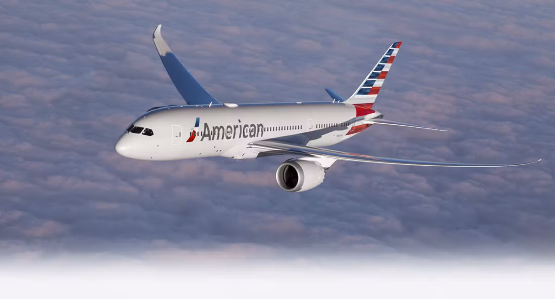 American Airlines là hãng hàng không lớn nhất thế giới về lượng khách-dặm vận chuyển và quy mô đội tàu bay. Hãng cũng lớn thứ hai thế giới về doanh số hoạt động.