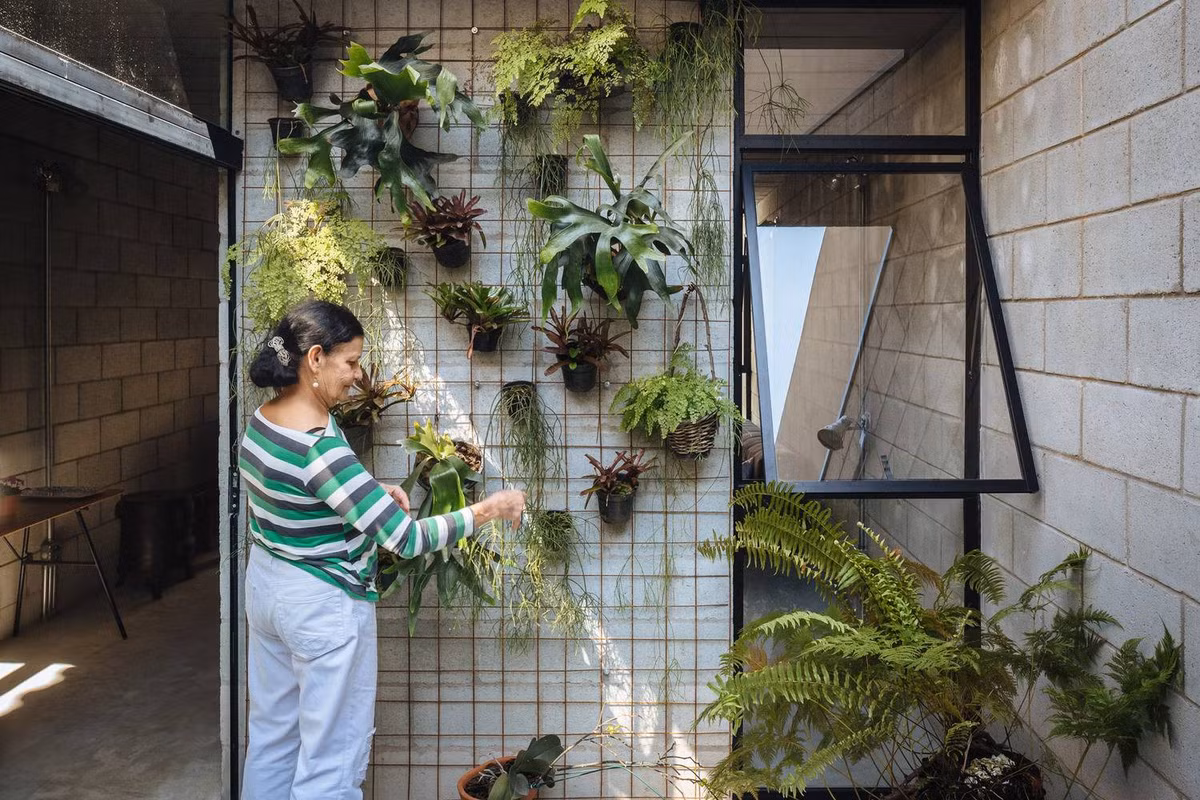 Khu vườn đứng được tận dụng tối đa.