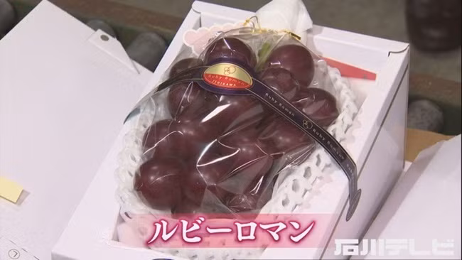 Loại nho này có hàm lượng đường cao, ít axit, ngọt.