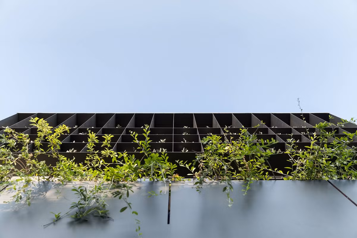 Mặt tiền tầng 2 là một giàn thép trồng cây thiết kế bên ngoài lồng kính.