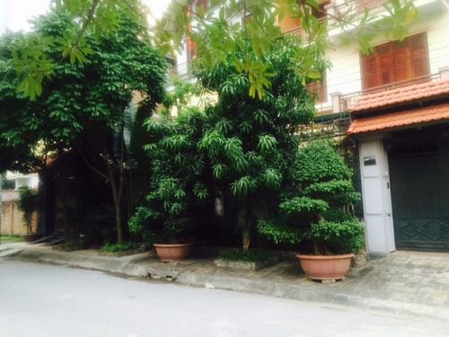 Những ngày gần đây, chủ đầu tư biệt thự số 7 thuộc khu biệt thự liền kề đã tự ý xây bịt lại cổng theo quy hoạch ban đầu, tự ý mở 2 cổng mới sai với quy hoạch chi tiết 1/500.