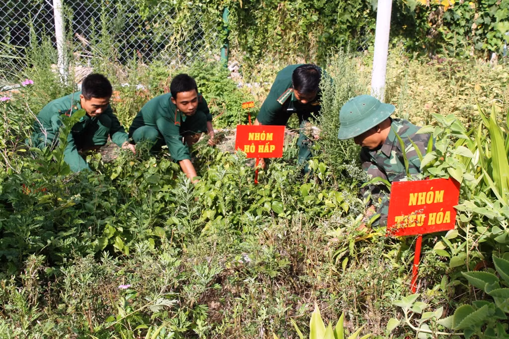 Với chức năng nhiệm vụ được giao, Ban chỉ huy đồn luôn chú trọng công tác phát động phong trào toàn dân tham gia bảo vệ an ninh Tổ quốc và xây dựng nền Quốc phòng toàn dân vững mạnh. Theo đó, đã xây dựng được 8 tổ tàu, thuyền an toàn trên biển, với gần 200 chủ phương tiện cam kết tham gia.