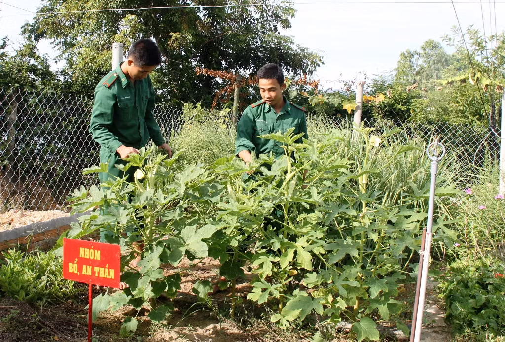 Liên tục 16 năm qua, đồn tổ chức và duy trì một lớp học tình thương 5 trong 1 (gồm các em từ lớp 1 đến lớp 5), do đại úy Nguyễn Văn Thưởng dứng lớp, hàng đêm có trung bình 35 học sinh là con em các hộ nghèo trong địa bàn, gia đình khó khăn, cha đi biển dài ngày…đến học rất đều đặn và đạt những kết quả đáng mừng. Việc duy trì tốt lớp học, không chỉ dạy cho các em cái chữ, đạo lý con người, mà còn gắn bó tình cảm mật thiết với nhân dân dịa phương. Nhờ đó, nhân dân càng thêm tin tưởng bộ đội, báo cho Chỉ huy đồn hàng trăm nguồn tin có giá trị về an ninh, trật tự xã hội.