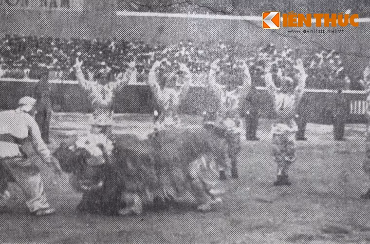 Đoàn múa lân Trung Quốc góp vui với ngày lễ trọng đại của dân tộc Việt Nam.