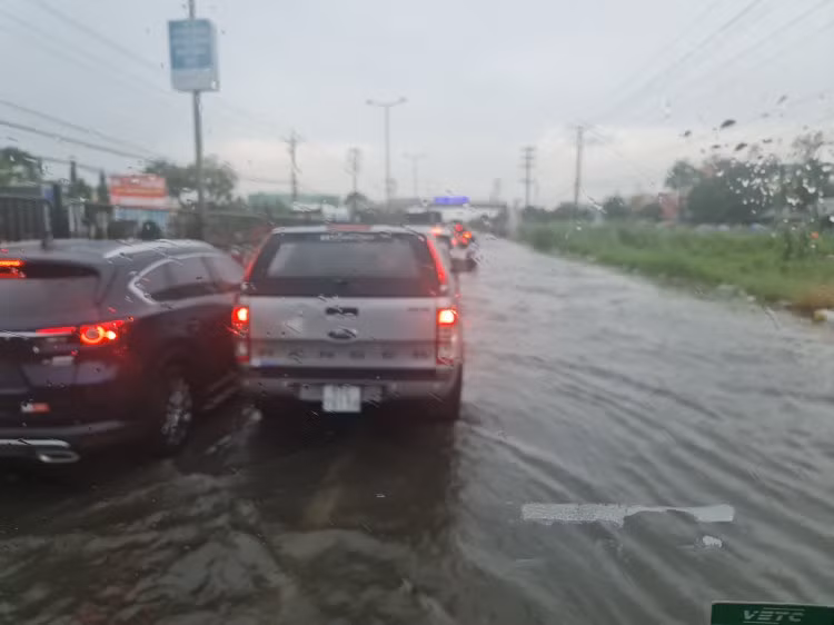 ...kể cả xe ô tô