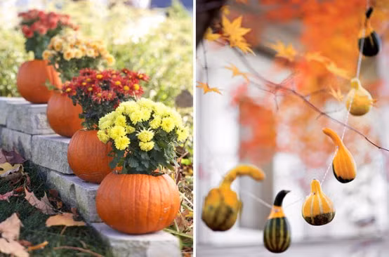 Biến vỏ bí ngô thành chậu hoa tươi ấn tượng. Ảnh: DigsDigs.