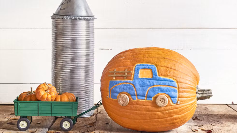 Trang tri nha bang bi ngo doc dao mua Halloween-Hinh-2