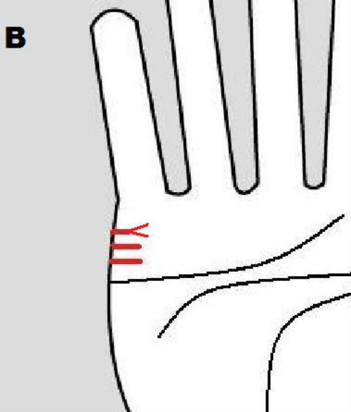 Bàn tay có nhiều hơn hai đường hôn nhân chứng tỏ chủ nhân trắc trắc đường tình duyên. Những trở ngại trong tình yêu xuất phát từ sự can thiệp của người thứ ba. Ảnh: Chinesehoroscop. (Bài viết chỉ mang tính chất tham khảo, cung cấp nội dung mang tính trắc nghiệm vui cho bạn đọc).