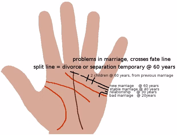 Đường chỉ tay hôn nhân có nét đứt đoạn cho thây chủ nhân gặp nhiều trở ngại trong tình yêu. Hai người rất dễ chia tay khi nảy sinh mâu thuẫn. Ảnh: Hamderser.