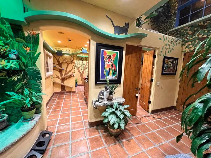 Tron mat voi can nha doc nhat vo nhi danh rieng cho meo-Hinh-3