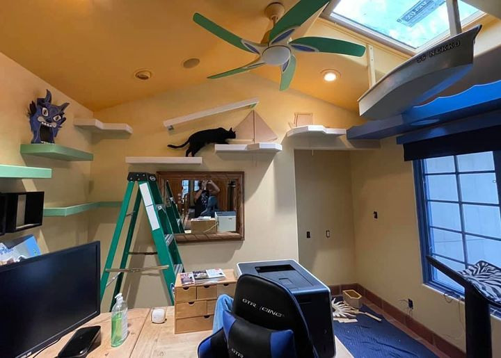 Tron mat voi can nha doc nhat vo nhi danh rieng cho meo-Hinh-4