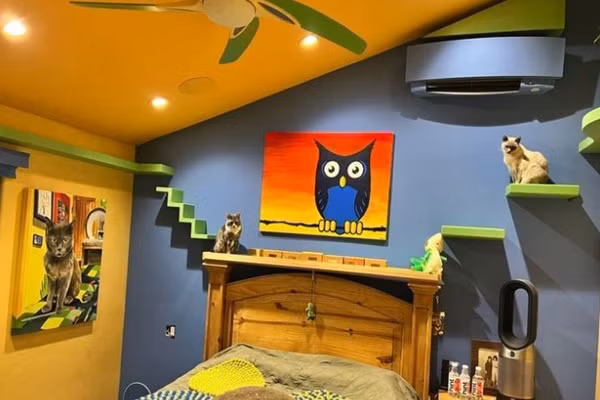 Tron mat voi can nha doc nhat vo nhi danh rieng cho meo