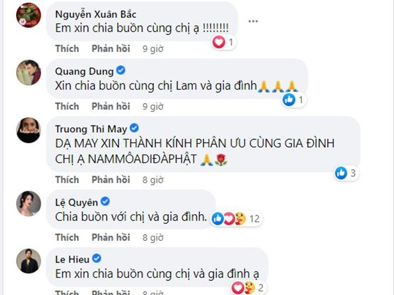 Lời chia buồn của Xuân Bắc, Lệ Quyên, Lê Hiếu, Quang Dũng, Trương Thị May. Ảnh chụp màn hình