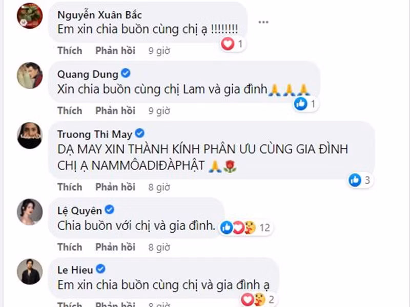 Lời chia buồn của Xuân Bắc, Lệ Quyên, Lê Hiếu, Quang Dũng, Trương Thị May. Ảnh chụp màn hình