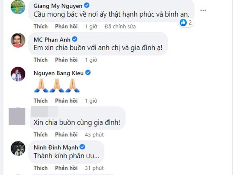 Giáng My, Phan Anh, Bằng Kiều, Đinh Mạnh Ninh chia buồn cùng Thanh Lam và bác sĩ Bùi Tiến Hùng. Ảnh chụp màn hình