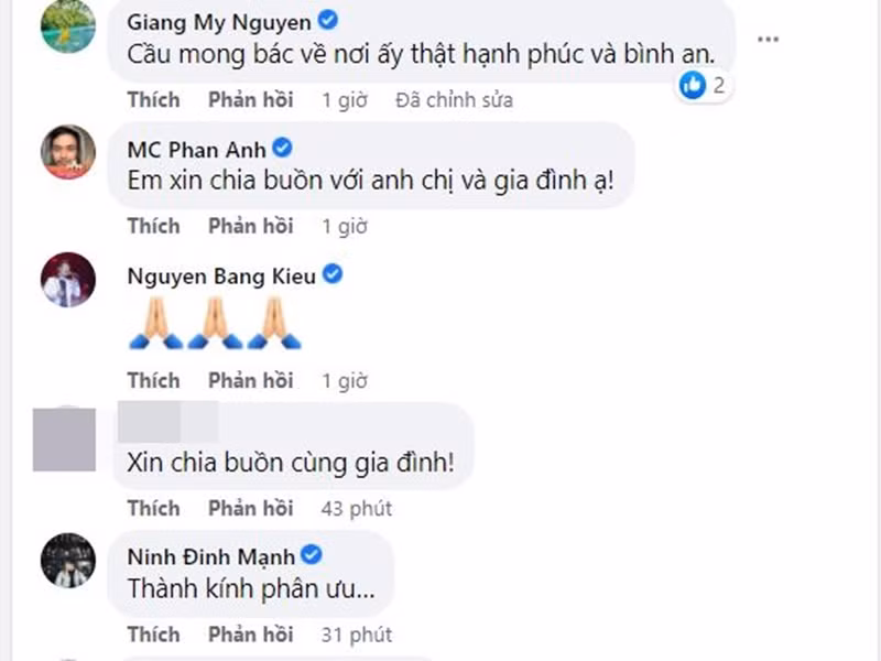 Giáng My, Phan Anh, Bằng Kiều, Đinh Mạnh Ninh chia buồn cùng Thanh Lam và bác sĩ Bùi Tiến Hùng. Ảnh chụp màn hình