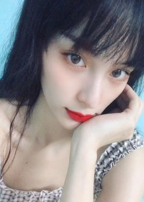 Hạ Vi từng giành giải Phong cách trong một cuộc thi tuổi teen năm 2010, danh hiệu Người đẹp tài năng tại cuộc thi Hoa hậu ảnh do báo Phụ nữ đăng cai tổ chức năm 2012.