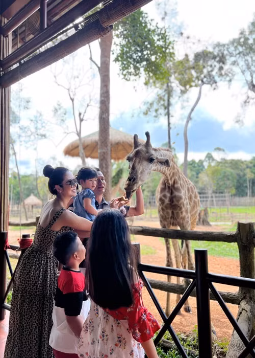 Cả gia đình người đẹp tại khu vui chơi có nhiều con vật.