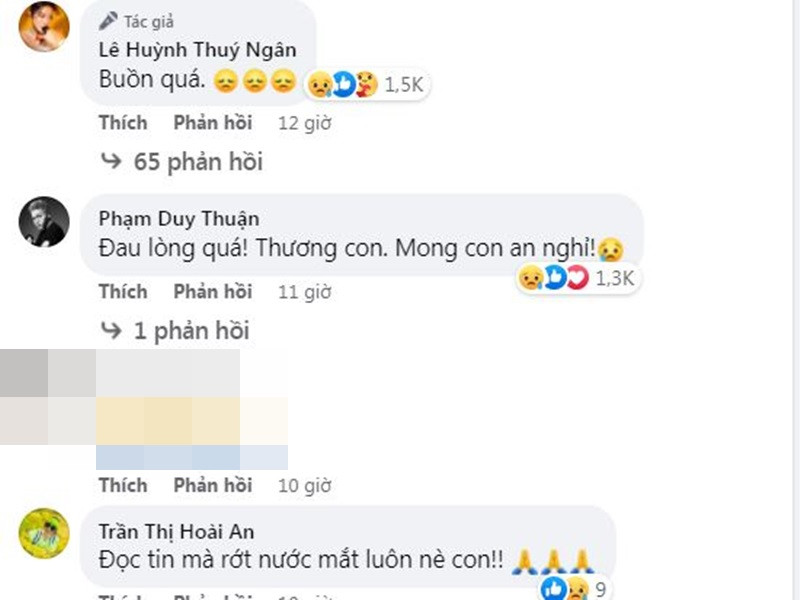 Ca sĩ Jun Phạm, diễn viên Hoài An tiếc thương trước sự ra đi của Bảo Bảo. Ảnh chụp màn hình