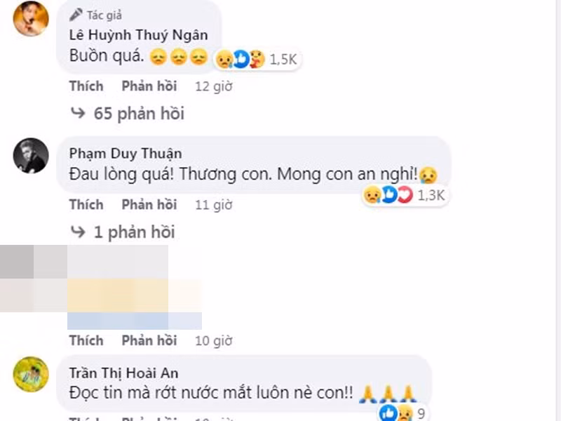 Ca sĩ Jun Phạm, diễn viên Hoài An tiếc thương trước sự ra đi của Bảo Bảo. Ảnh chụp màn hình