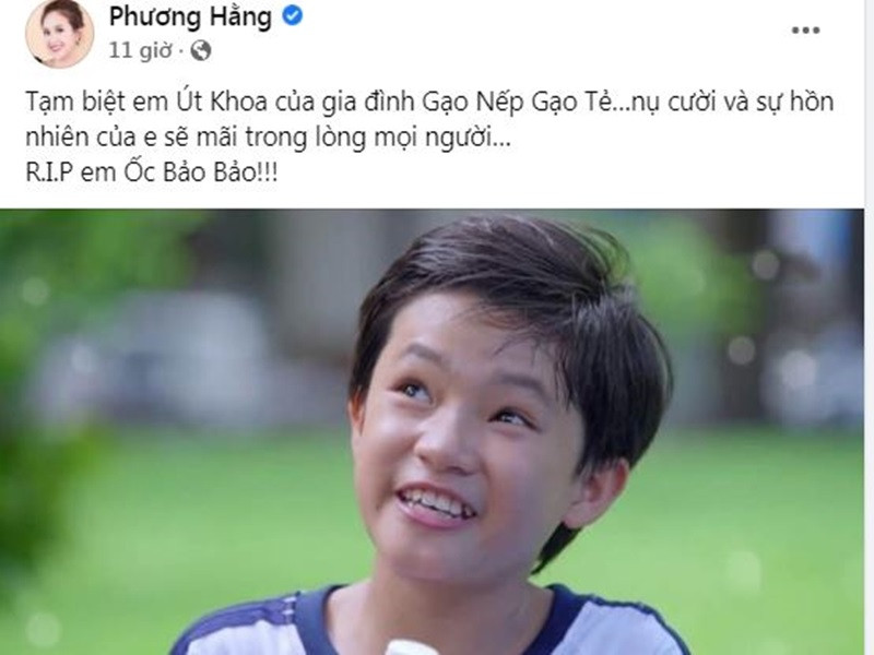 Diễn viên Phương Hằng chia sẻ, nụ cười và sự hồn nhiên của Bảo Bảo sẽ mãi trong lòng mọi người. Ảnh chụp màn hình
