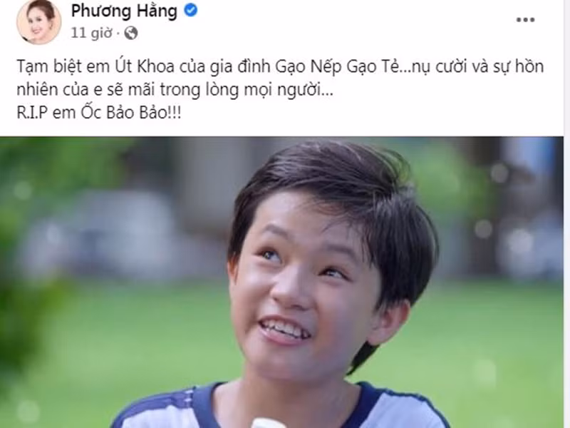 Diễn viên Phương Hằng chia sẻ, nụ cười và sự hồn nhiên của Bảo Bảo sẽ mãi trong lòng mọi người. Ảnh chụp màn hình