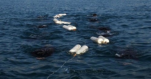 Để trở thành những chiến sĩ đặc công nước “đặc biệt tinh nhuệ, anh dũng tuyệt vời, mưu trí táo bạo, đánh hiểm thắng lớn”, cán bộ, chiến sĩ Lữ đoàn Đặc công 5 đã phải luyện tập vô cùng vất vả, cực nhọc và luôn đối mặt với hiểm nguy. Ảnh: giấu mình giữa thẳm xanh của biển.