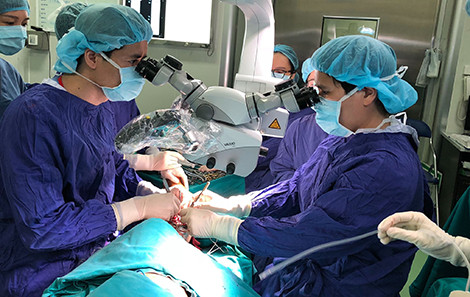 Nhung vu ghen tuong cat 