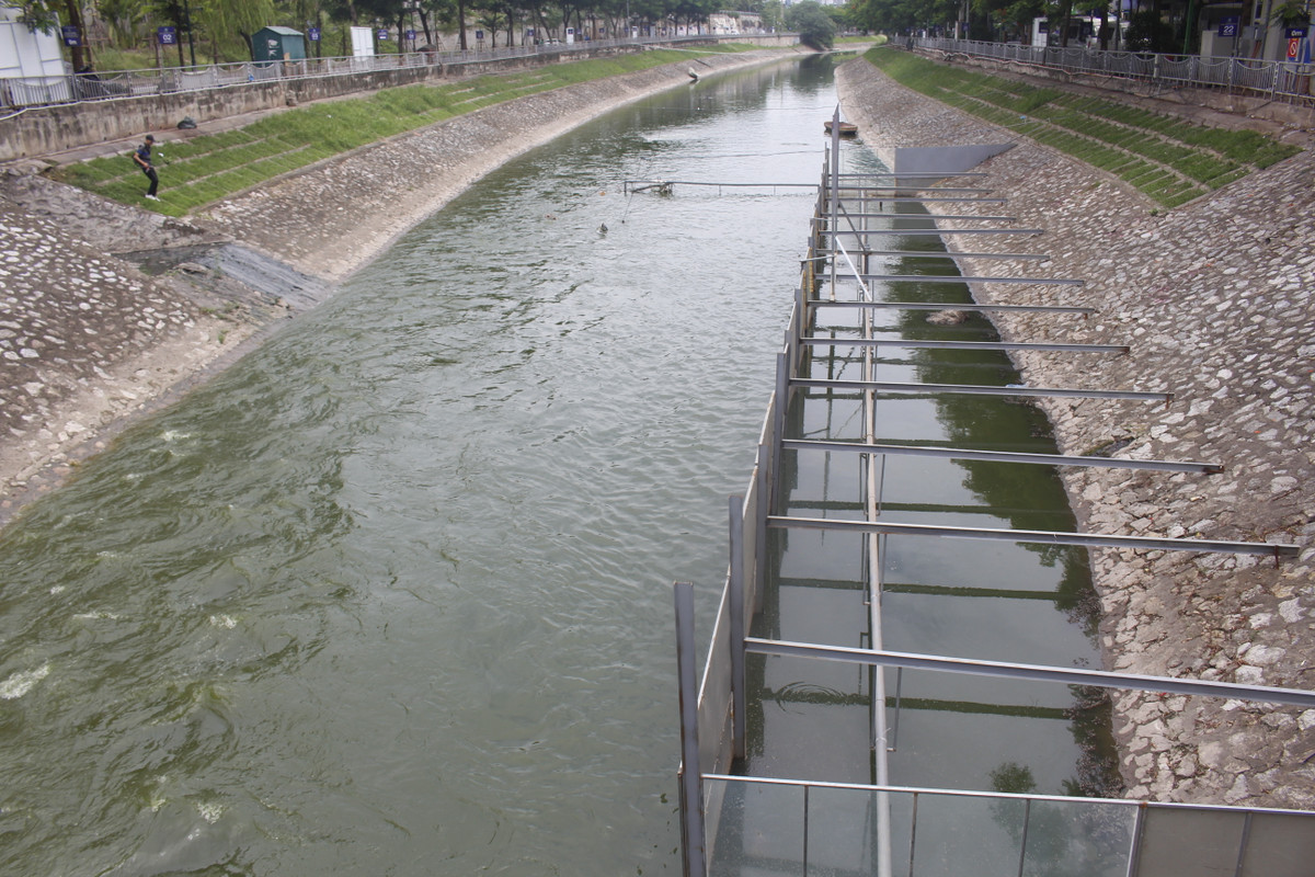 Nhiều người thích thú với cảnh tượng lạ mắt này.