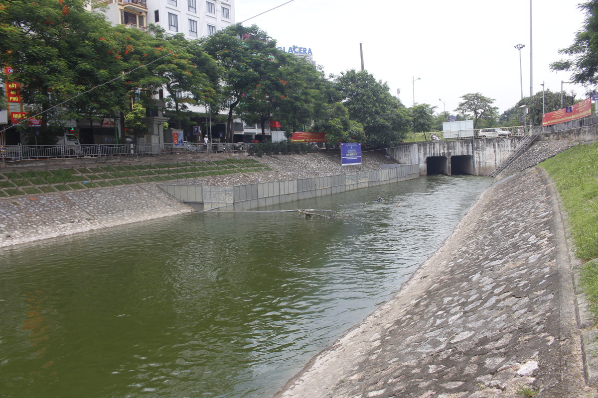 Màu xanh biếc hiếm thấy của dòng Tô Lịch.