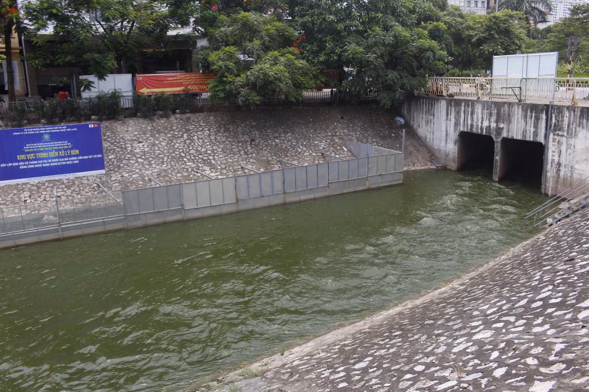 Dòng chảy không ảnh hưởng đến máy làm sạch Nano-Bioreactor của Nhật Bản.