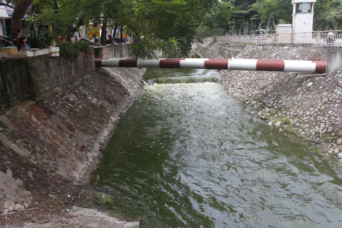 Thay vào đó là dòng chảy mạnh và có màu xanh biếc từ dòng nước của Hồ Tây.