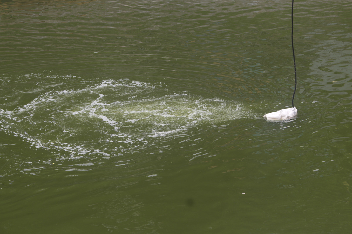 Máy sục khí Nano vẫn hoạt động hết công suất.