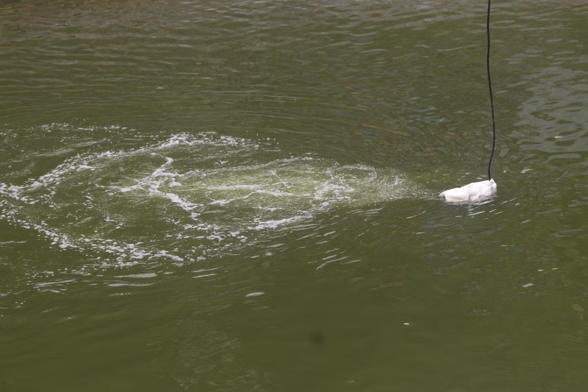 Máy sục khí Nano vẫn hoạt động hết công suất.