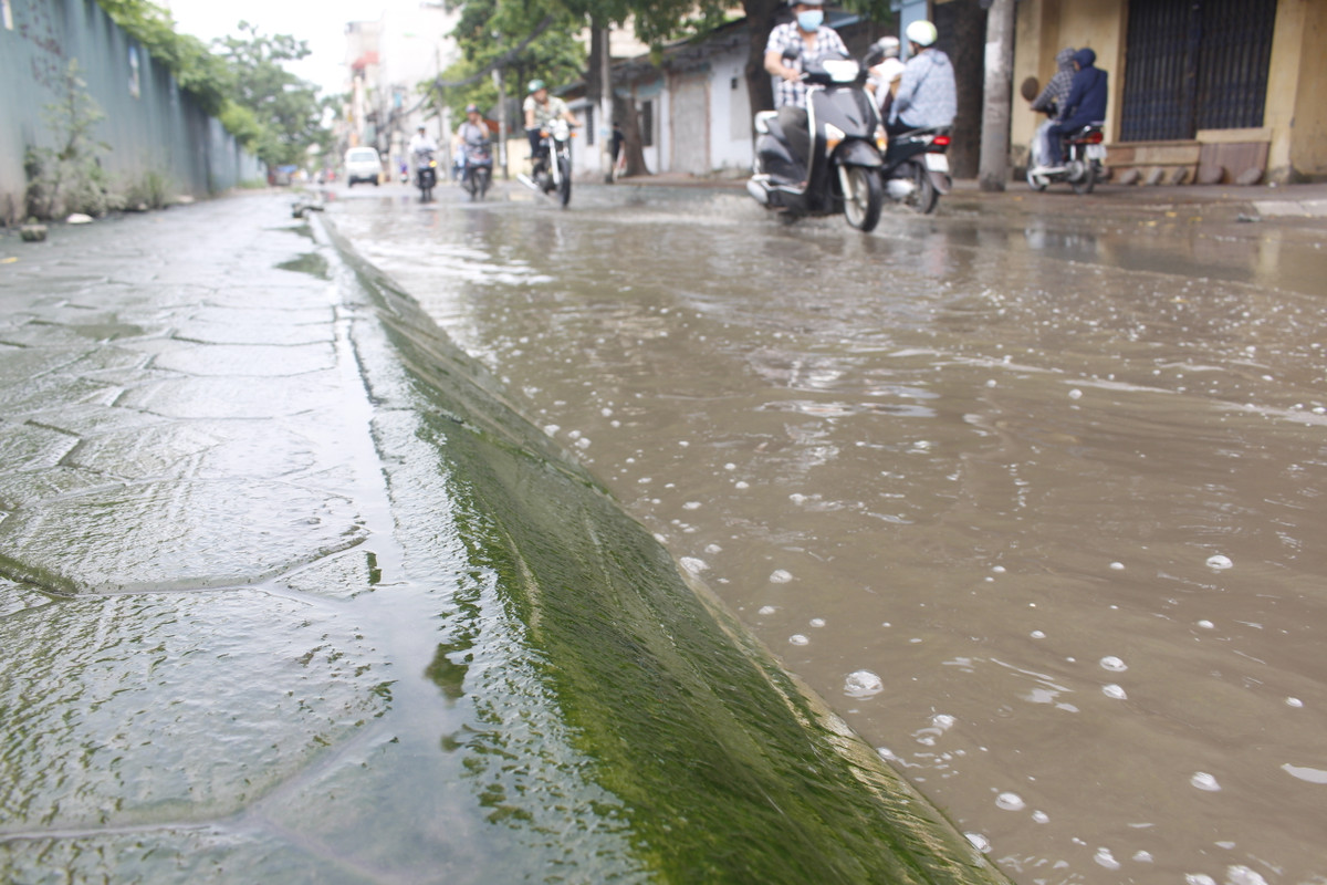Mặt vỉa hè bị rêu xanh do nước thải tù đọng nhiều tháng gây nên.