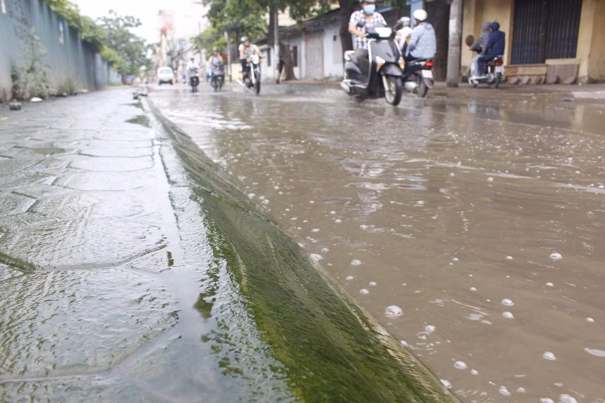 Mặt vỉa hè bị rêu xanh do nước thải tù đọng nhiều tháng gây nên.