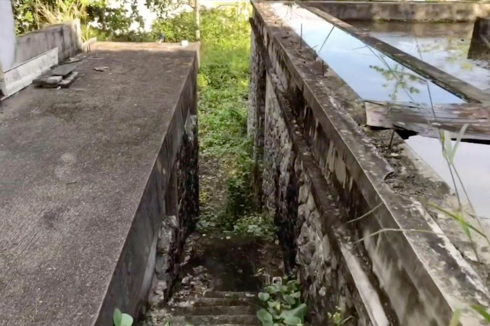 Bậc thang đá bị cây cỏ xâm chiếm qua thời gian.