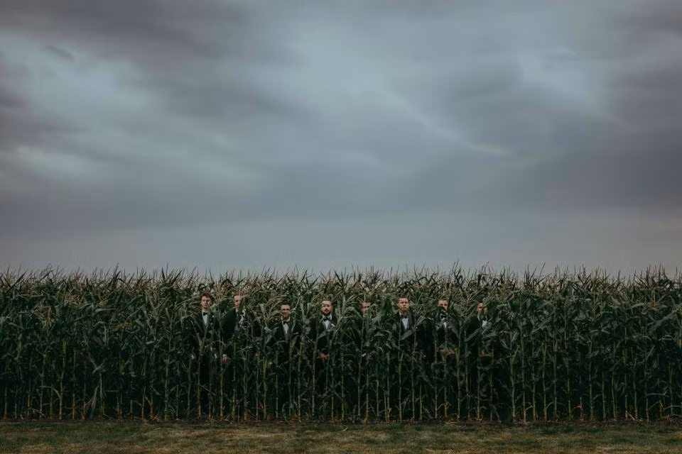 Ngay ngat ngam nhung buc anh cuoi dep nhat nam 2018-Hinh-9