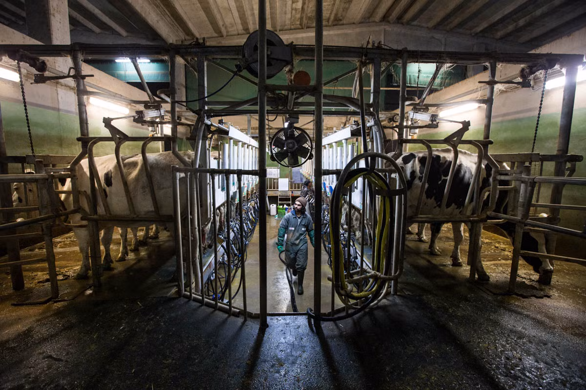 Cuoc song cong nhan An Do lam pho mat truyen thong o Italy-Hinh-14