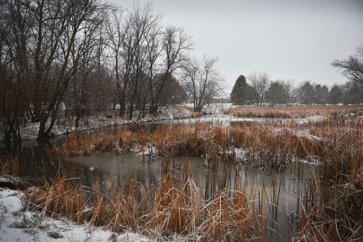 Khung cảnh tiêu điều trong Công viên Sertoma ở Sioux Falls, Nam Dakota, ngày 27/12. Ảnh: AP.